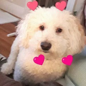 Meet your Posher, Deborah